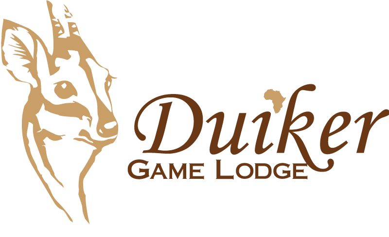 Duiker Game Lodge | Boutique Safari Lodge, Hluhluwe KZN